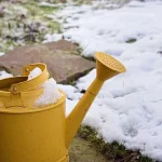 co-delat-na-zahrade-v-mrazu-techto-7-rychlych-ukonu.webp.webp
